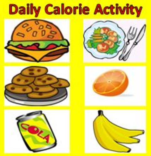 Digestive System Daily Calorie Lab