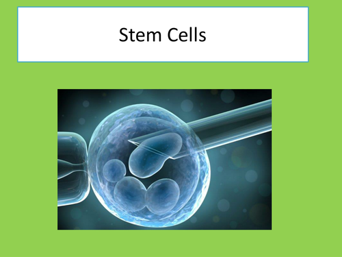 OCR Stem Cells