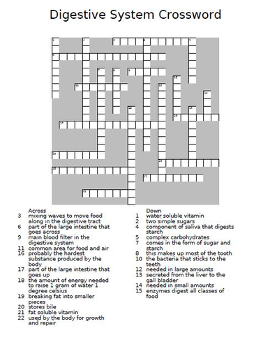 Digestive System Crossword Puzzle Teaching Resources