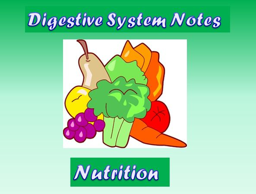 Digestive System Notes - Nutrition Powerpoint Presentation