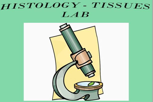 Histology - Tissues Lab