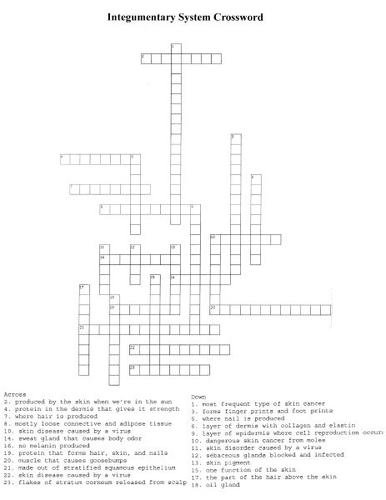 Integumentary System Skin Crossword Puzzle