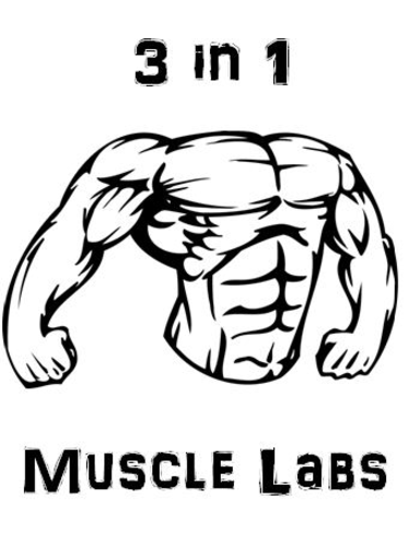 Muscular System Anatomy-Biology 3 in 1 Muscle Lab Package