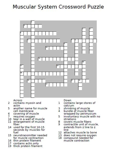 Muscular System Crossword Puzzle | Teaching Resources