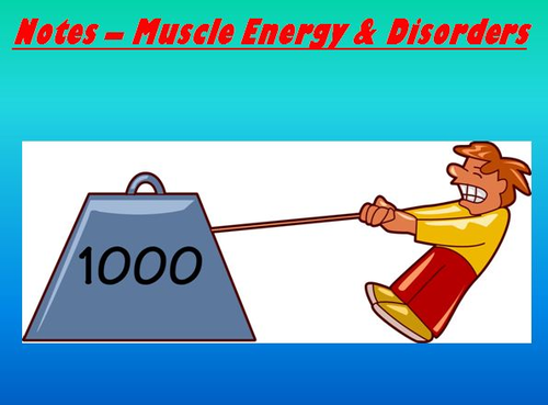 Muscular System Notes - Muscle Energy & Disorders Powerpoint Presentation
