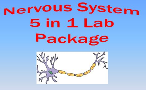 Nervous System Lab Bundle