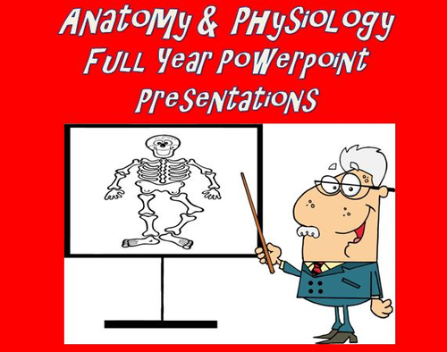Anatomy Physiology Full Year Powerpoint Presentations Bundled Package