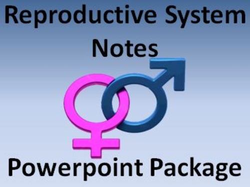 Reproductive System Notes Package Powerpoint Presentations