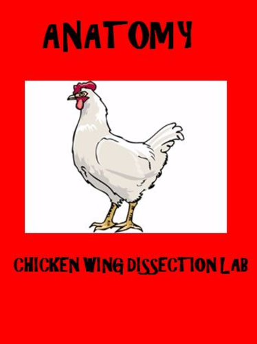 Anatomy Chicken Wing Dissection Lab Activity