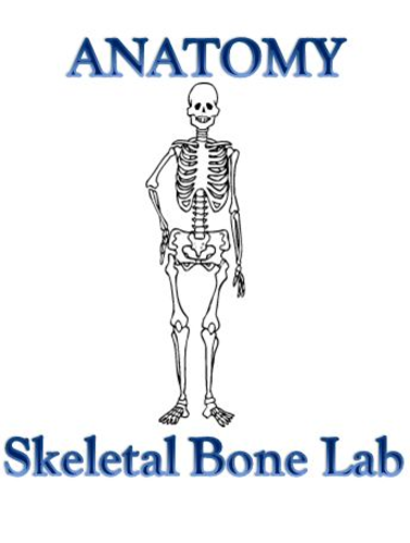 Skeletal System Bone Lab - Anatomy and Physiology