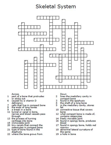 Skeletal System Crossword Puzzle