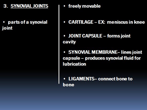 Skeletal System Notes Types of Joints & Ossification Powerpoint Presentation