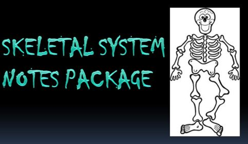 Skeletal System Notes Powerpoint Package