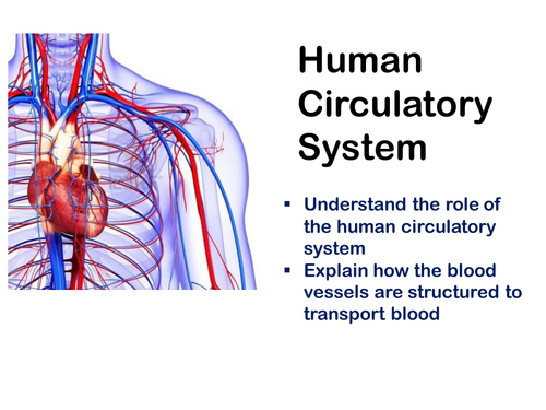 New AQA Biology Human Defense Systems Lesson by chalky1234567 - UK ...