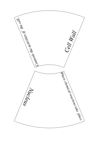 AQA Cell Biology Key Word Puzzles