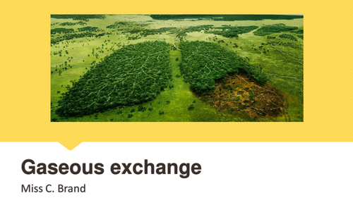 The Respiratory System and Gaseous Exchange