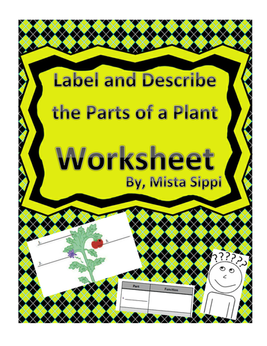 Label and Describe the Parts of a Plant