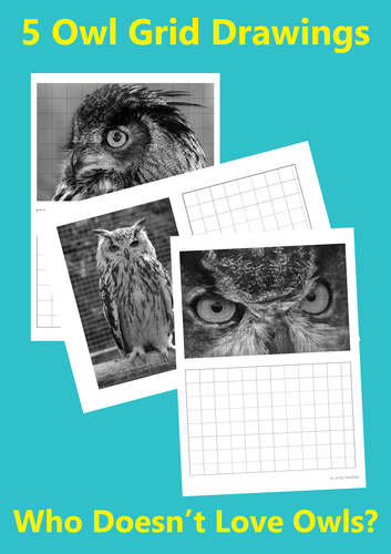 Owl Grid Drawings (animals) (birds)