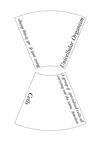 AQA Organisation Key Word Puzzles