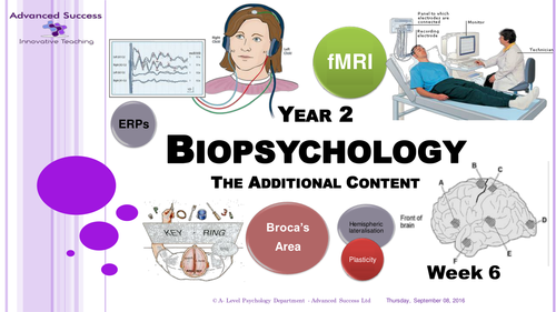Year 2 - The Biopsychology Additional Content Powerpoint