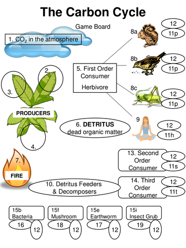 Carbon Cycle Game Teaching Resources