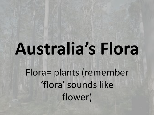 Australia&#39;s Flora