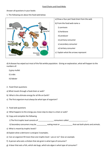 Food Chains and Food Webs