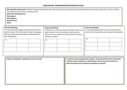 Genetics Overview Blueprint of Life