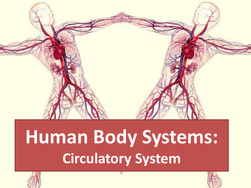 Human Body Systems: Circulatory System | Teaching Resources