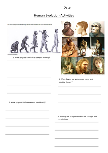 Human Evolution &amp; Out of Africa Theory