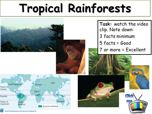 Tropical Rainforests - New AQA