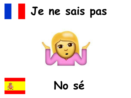 French and Spanish classroom language display