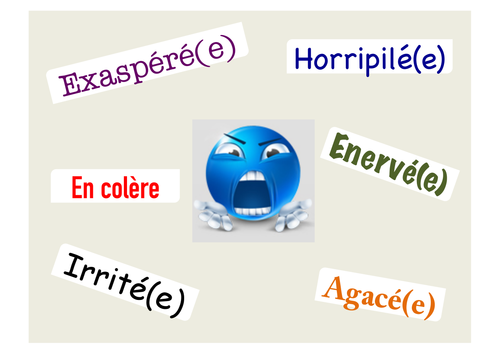 French display emoticônes