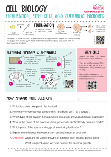 AQA NEW GCSE BIOLOGY - CULTURING MICROORGANISMS, MICROBES, BINARY