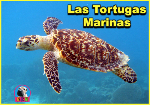Las Tortugas Marinas - PowerPoint