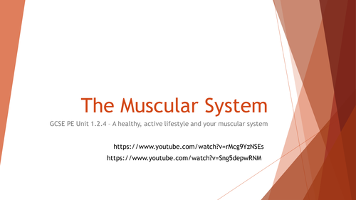 Edexcel GCSE PE 1.2.4 - A healthy, active lifestyle and your muscular system - Unit of Work
