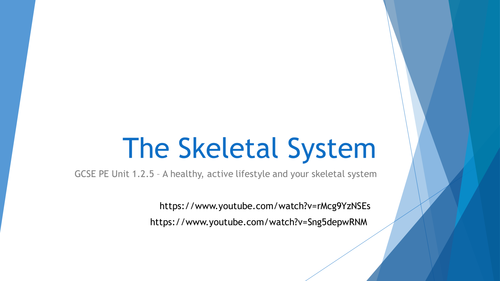 Edexcel GCSE PE 1.2.5 - A healthy, active lifestyle and your  skeletal system - Unit of Work
