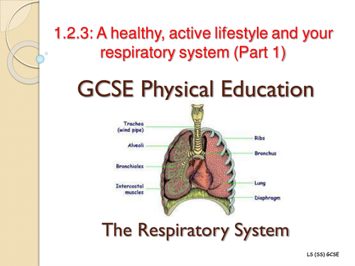 Edexcel GCSE PE 1.2.3: A healthy, active lifestyle and your respiratory system