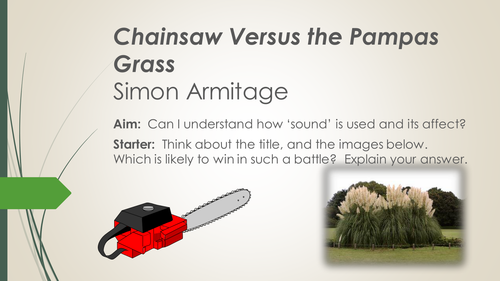 Chainsaw versus Pampas Grass