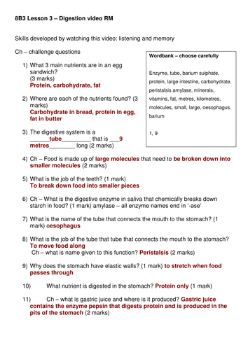 heart worksheet blank questions and video answers system Digestive