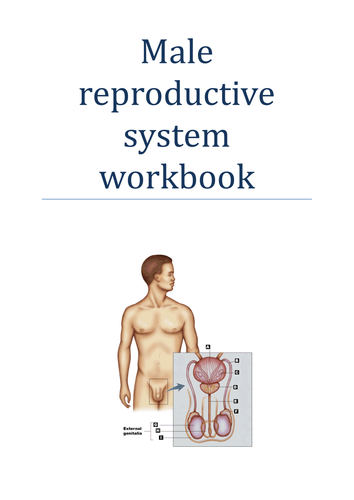 Human reproduction revision workbooks