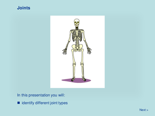 Essay dt joints picture