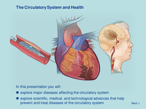 The Circulatory System and Health