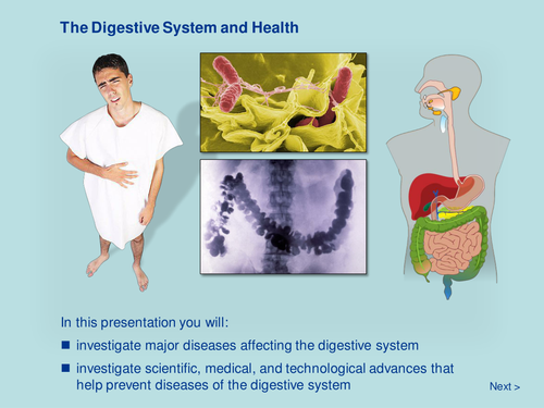 The Digestive System and Health