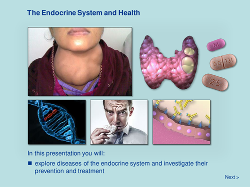 The Endocrine System and Health