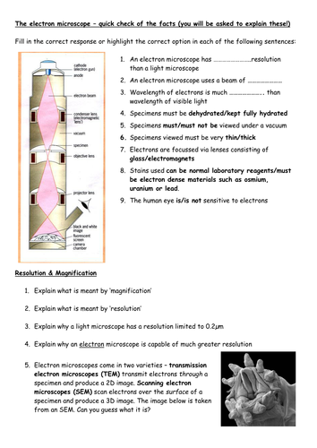 what are the differences between light microscopes and electron microscopes