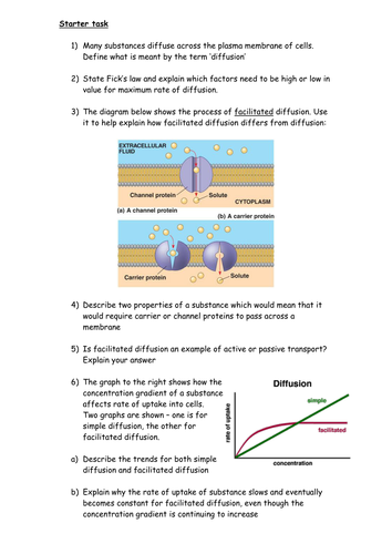 facilitated diffusion graph