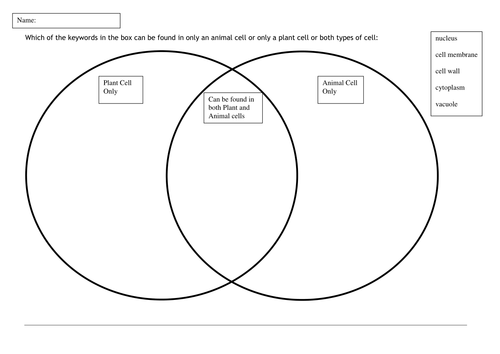 label a animal worksheet cell Worksheets Cells Plant by Animal  Sabir1 and Teaching