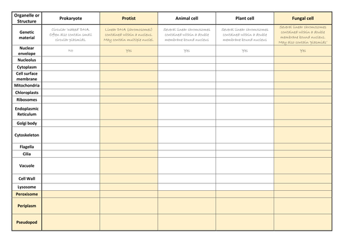Homework / revision activities for A-level cells and cellular transport