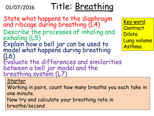 B1 2.3 Breathing